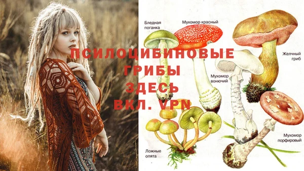 мяу мяу мука Покров