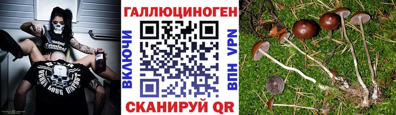 Галлюциногенные грибы GOLDEN TEACHER  где продают наркотики  Карабаново 