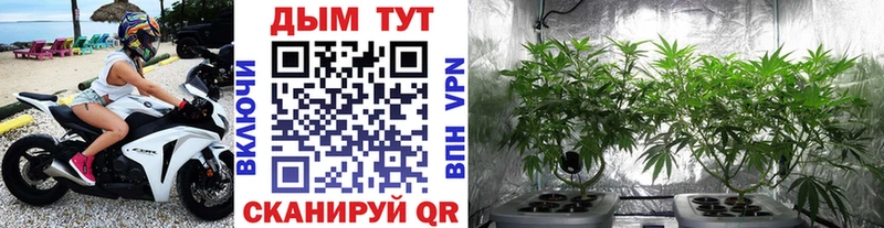 Марихуана Ganja Карабаново